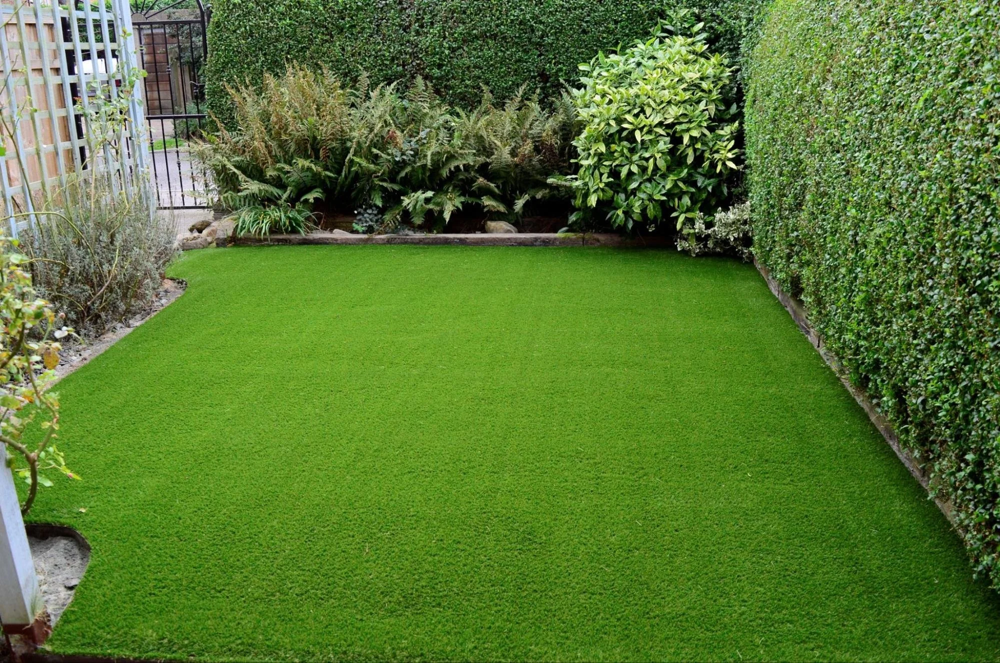 Synthetic turf lawn in a fenced backyard installed by RC Outdoor