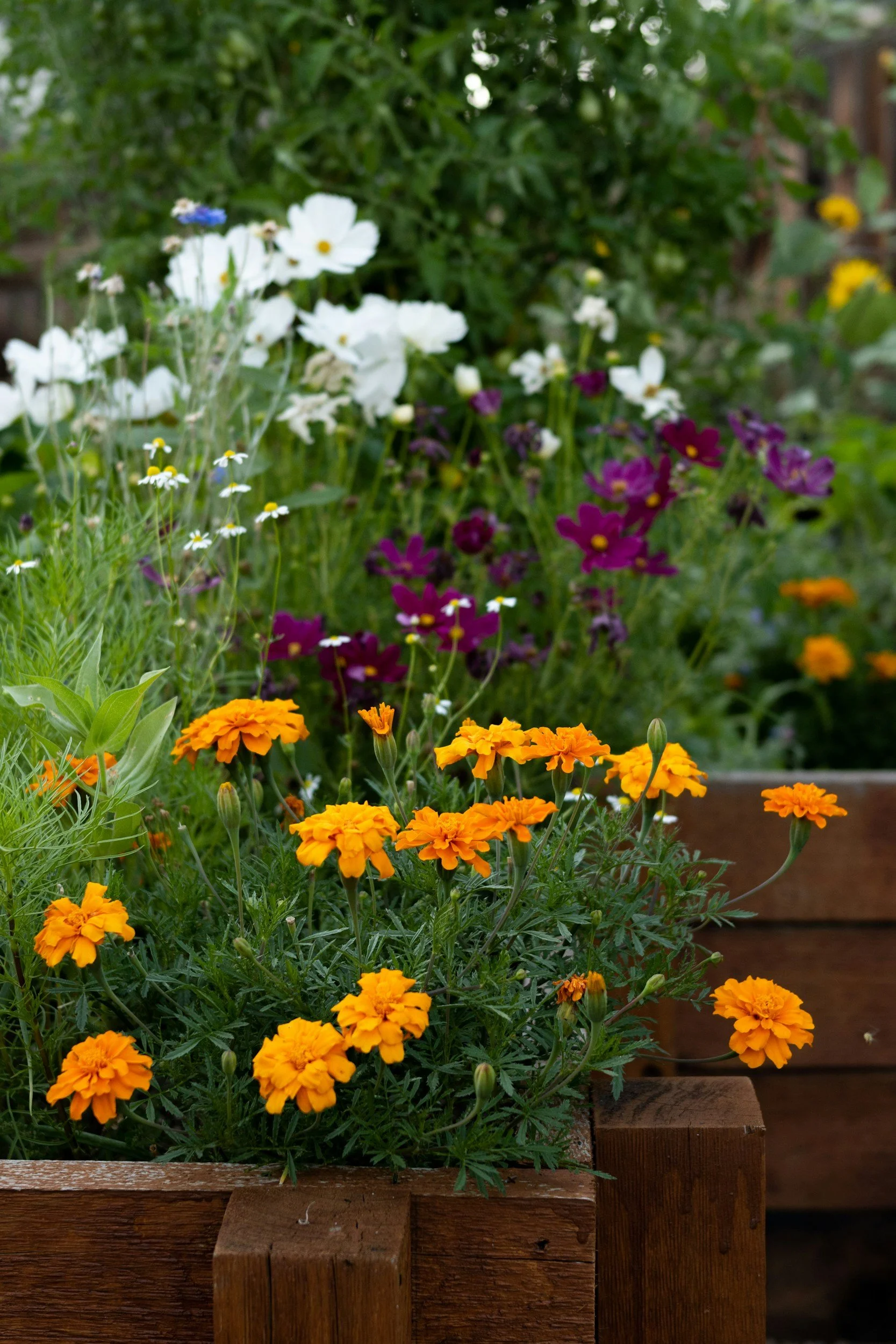 Planting & Garden Beds by RC Outdoor LLC
